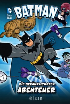 Die gefährlichsten Abenteuer / Batman Sammelbd.1 - Lemke, Donald; Stevens, Eric