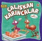 Caliskan Karincalar ile Tanisalim