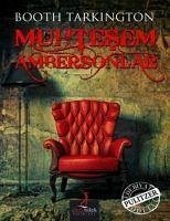 Muhtesem Ambersonlar - Tarkington, Booth