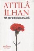Bir Sap Kirmizi Karanfil Cumhuriyet Söylesileri Eylül 96 - Mart 97