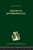 Theory in Anthropology (eBook, ePUB)