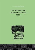 The Social Life Of Monkeys And Apes (eBook, PDF)