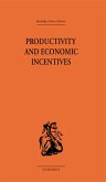 Productivity and Economic Incentives (eBook, ePUB)