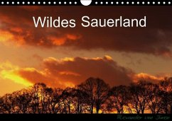 Wildes Sauerland (Wandkalender immerwährend DIN A4 quer)