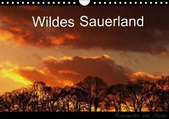 Wildes Sauerland (Wandkalender immerwährend DIN A4 quer) - Düren, Alexander von