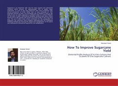 How To Improve Sugarcane Yield