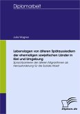 Lebenslagen von älteren Spätaussiedlern der ehemaligen sowjetischen Länder in Kiel und Umgebung (eBook, PDF)