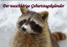 Waschbären / Geburtstagskalender... - Bild 1