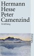 Peter Camenzind (eBook, ePUB) - Bild 1