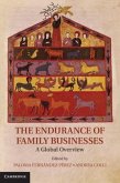 Endurance of Family Businesses (eBook, PDF)