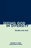 Seeing God in Diversity (eBook, ePUB) Seeing God in Diversity (eBook, ePUB)