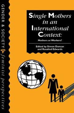 Single Mothers In International Context (eBook, ePUB)