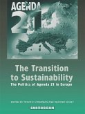 The Transition to Sustainability (eBook, PDF)