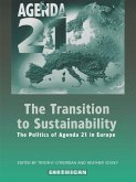 The Transition to Sustainability (eBook, ePUB)