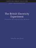 The British Electricity Experiment (eBook, ePUB)