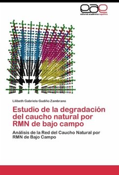 Estudio de la degradación del caucho natural por RMN de bajo campo - Gudiño Zambrano, Lilibeth Gabriela