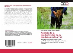 Análisis de la productividad en la producción de arroz