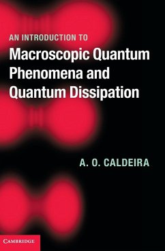 An Introduction to Macroscopic Quantum Phenomena and Quantum Dissipation - Caldeira, A. O.