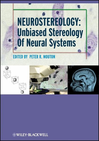 Neurostereology (eBook, ePUB)