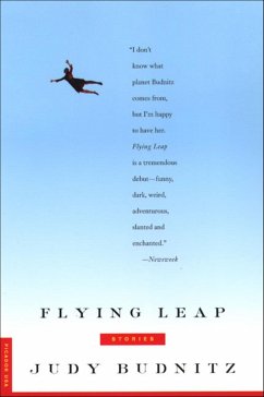 Cover Flying Leap (eBook, ePUB)