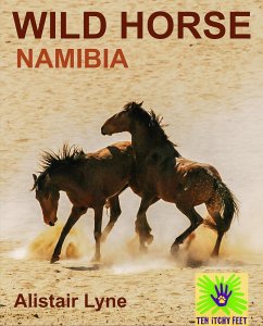 Cover Namibia - Wild Horse (eBook, ePUB)