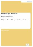 Euromanagement (eBook, PDF)