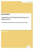 Organisation und Kapitalausstattung eines Eigenbetriebs (eBook, PDF)