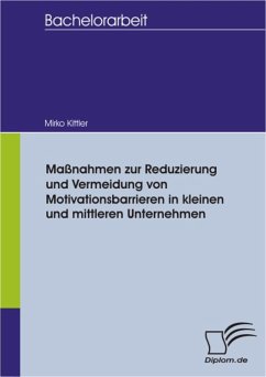 Maßnahmen zur Reduzierung und Vermeidung von Motivationsbarrieren in kleinen und mittleren Unternehmen (eBook, PDF) - Kittler, Mirko