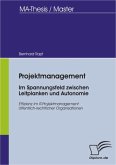 Projektmanagement - Im Spannungsfeld zwischen Leitplanken und Autonomie (eBook, PDF)