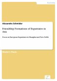 Friendship Formations of Expatriates in Asia (eBook, PDF)
