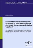 Carbonyl Reductases and Pluripotent Hydroxysteroid Dehydrogenases of the Short-Chain Dehydrogenase/Reductase Superfamily (eBook, PDF)