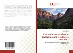 Epices Camerounaises et Bactéries multi-résistantes Volume 1 - Voukeng, Igor K.;Kuete, Victor