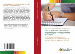 Gastos públicos como forma de promoção do crescimento pró-pobre - Cruz, Aline C.;Teixeira, Erly Cardoso;Braga, Marcelo José