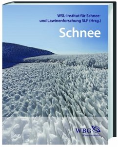 Cover Schnee