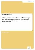 Führungsinstrumente Feeback, Workshops und Mitarbeitergespräch als Faktoren des Projekterfolgs (eBook, PDF)