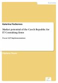 Market potential of the Czech Republic for IT Consulting firms (eBook, PDF)