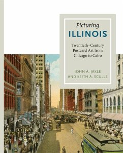 Cover Picturing Illinois (eBook, ePUB)