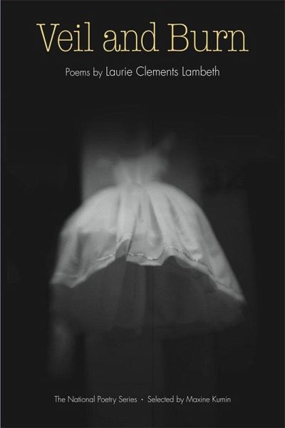 Veil and Burn (eBook, ePUB)