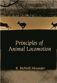 Principles of Animal Locomotion (eBook, ePUB) - Alexander, R. McNeill