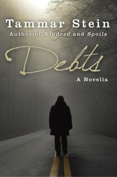 Debts: A Novella (eBook, ePUB) - Stein, Tammar