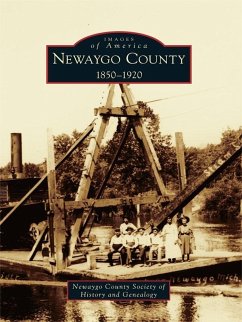 Cover Newaygo County (eBook, ePUB)