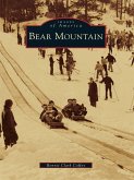 Bear Mountain (eBook, ePUB)