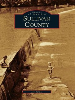 Sullivan County (eBook, ePUB) - Tennis, Joe