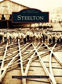 Steelton (eBook, ePUB)