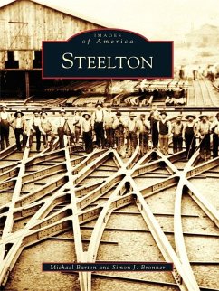 Cover Steelton (eBook, ePUB)