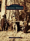 Running Springs (eBook, ePUB)