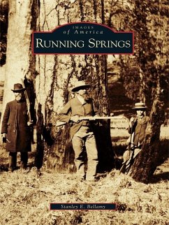 Cover Running Springs (eBook, ePUB)