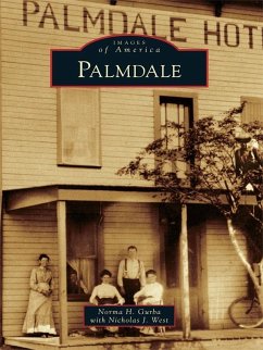 Palmdale (eBook, ePUB) - Gurba, Norma H.