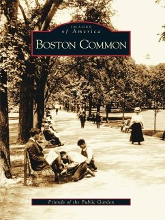 Cover Boston Common (eBook, ePUB)