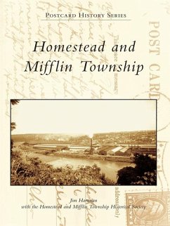 Homestead and Mifflin Township (eBook, ePUB) - Hartman, Jim